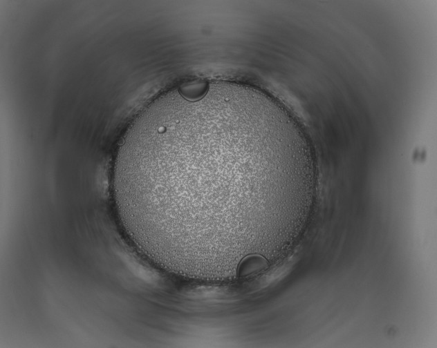 X0000090750065200708031617