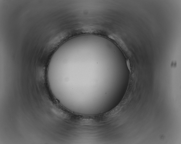 X0000090750066200708031617