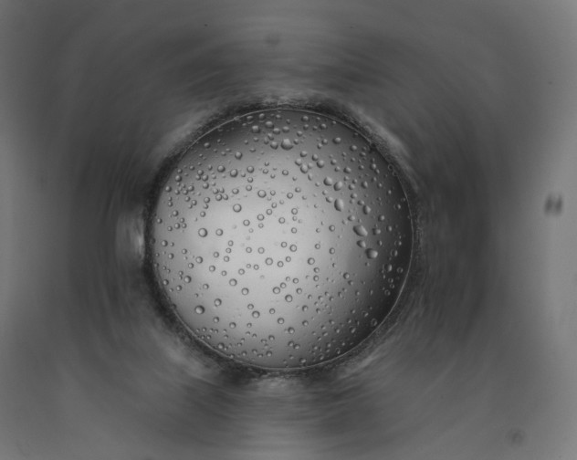 X0000090750067200708031617