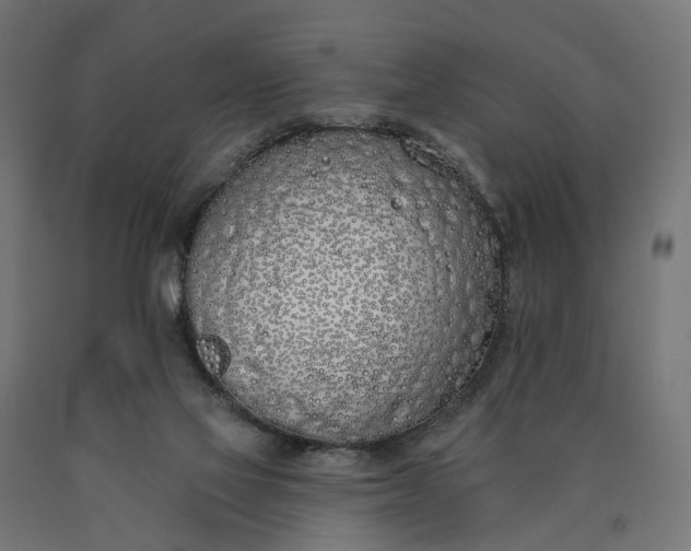 X0000090750069200708031617