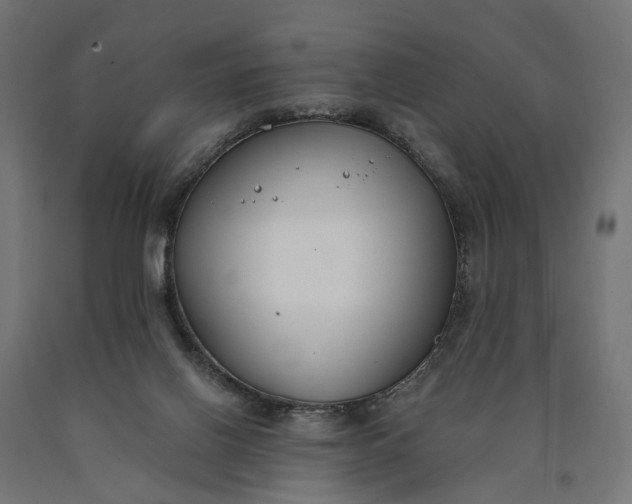 X0000090750070200708031617