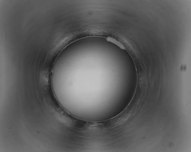 X0000090750072200708031617