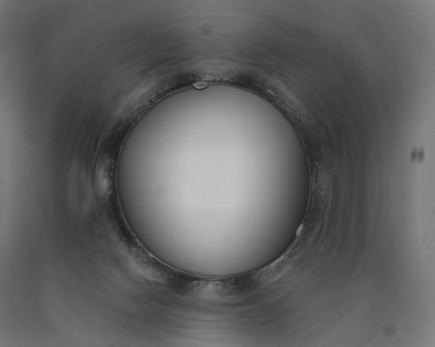 X0000090750074200708031617