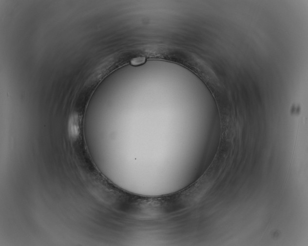 X0000090750075200708031617