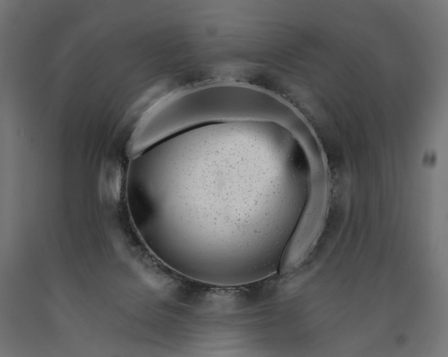 X0000090750076200708031617