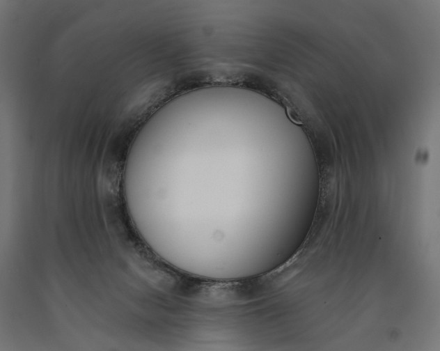 X0000090750078200708031617