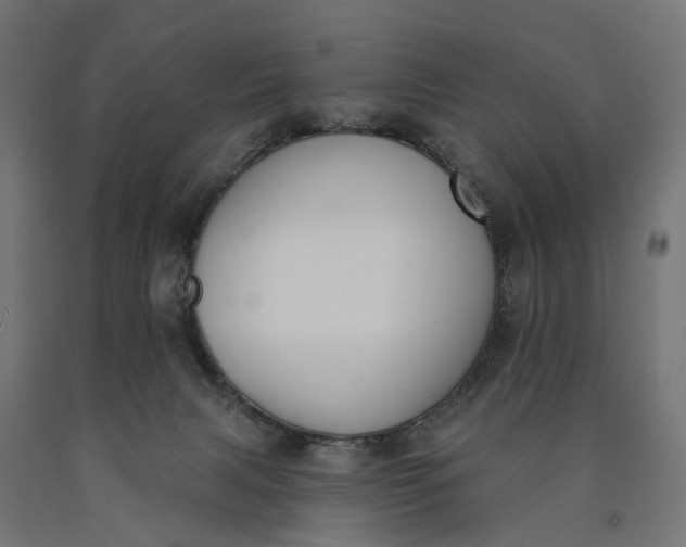 X0000090750079200708031617