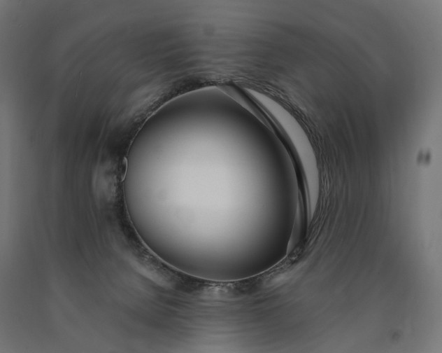 X0000090750080200708031617