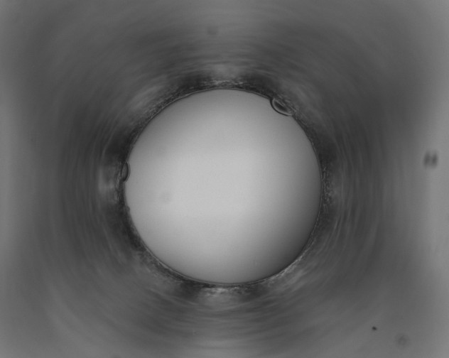 X0000090750082200708031617