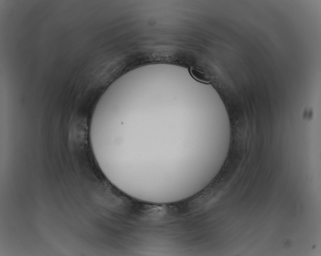 X0000090750083200708031617