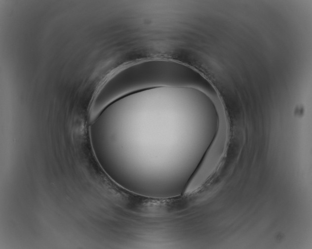 X0000090750084200708031617