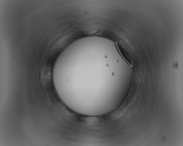 X0000090750085200708031617