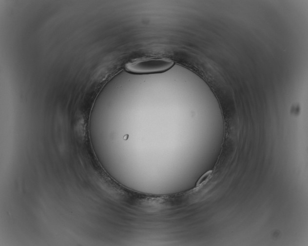 X0000090750086200708031617