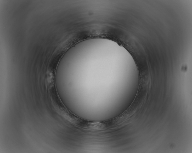 X0000090750087200708031617