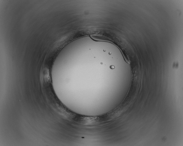 X0000090750089200708031617