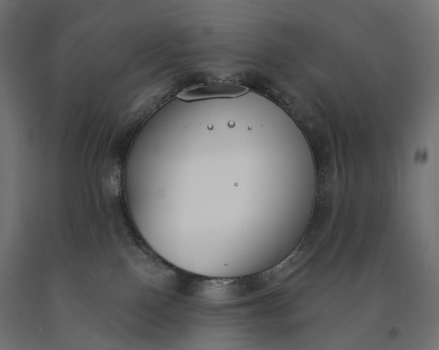 X0000090750090200708031617