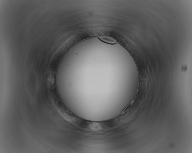 X0000090750091200708031617