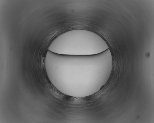 X0000090750093200708031617