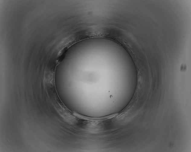 X0000090750096200708031617