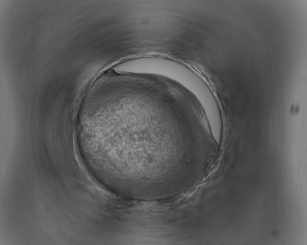 X0000090750097200708031617