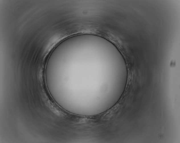 X0000090750098200708031617