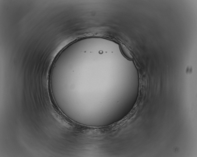 X0000090750100200708031617