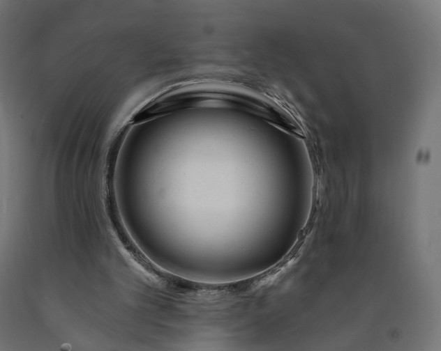 X0000090750101200708031617