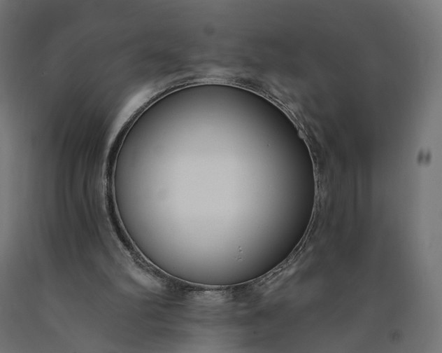 X0000090750102200708031617