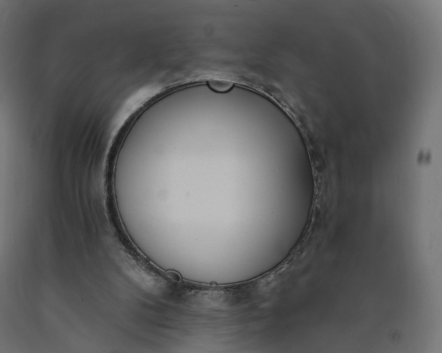 X0000090750104200708031617