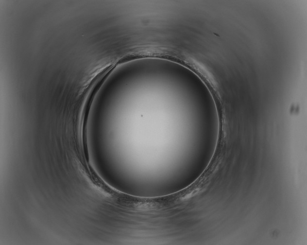 X0000090750105200708031617