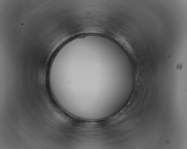 X0000090750108200708031617