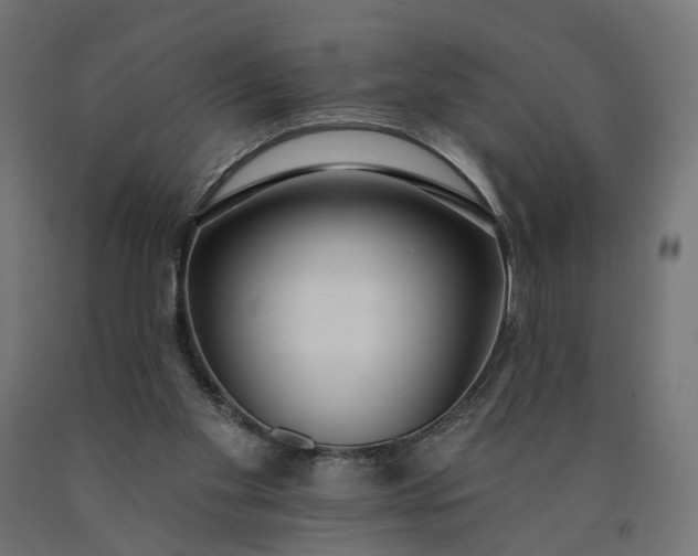 X0000090750109200708031617