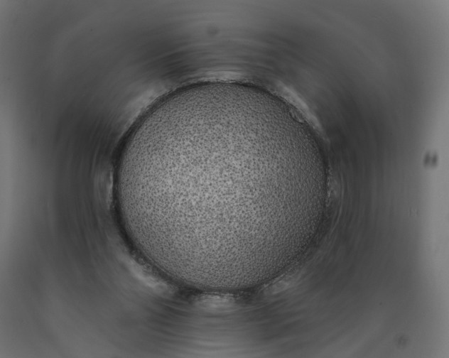 X0000090750110200708031617