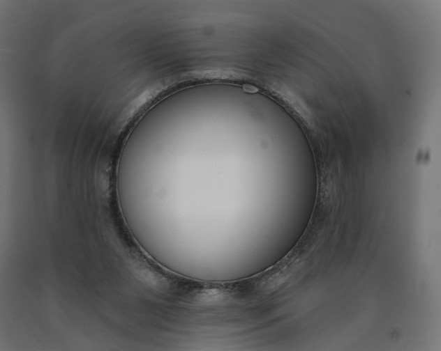 X0000090750111200708031617