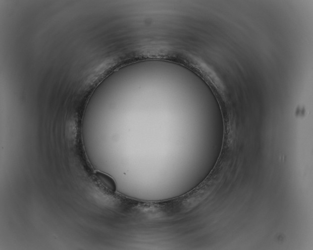 X0000090750113200708031616