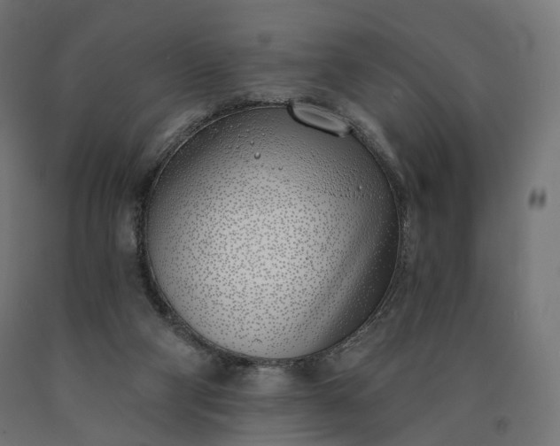 X0000090750114200708031616