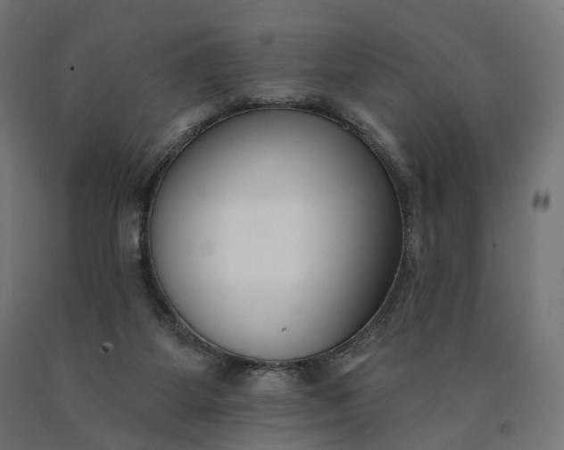 X0000090750115200708031616