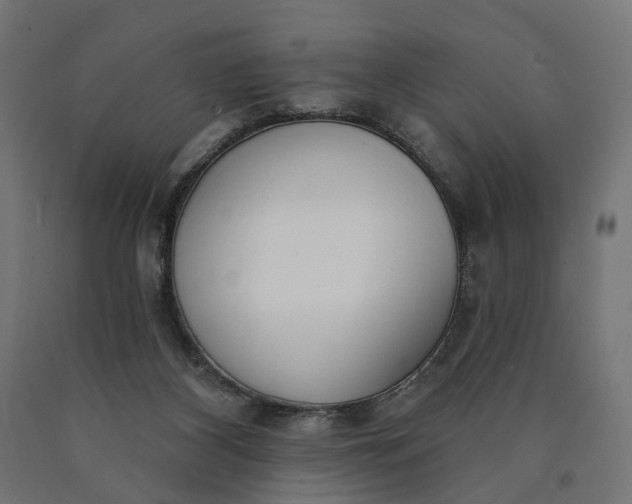 X0000090750116200708031616