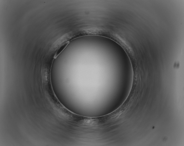 X0000090750117200708031616