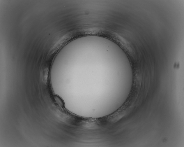 X0000090750118200708031616