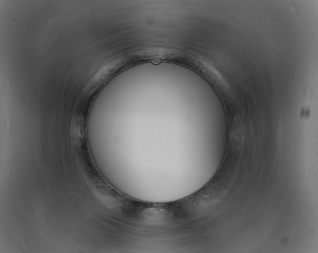 X0000090750119200708031616