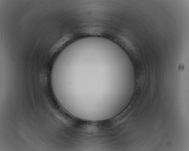 X0000090750120200708031616