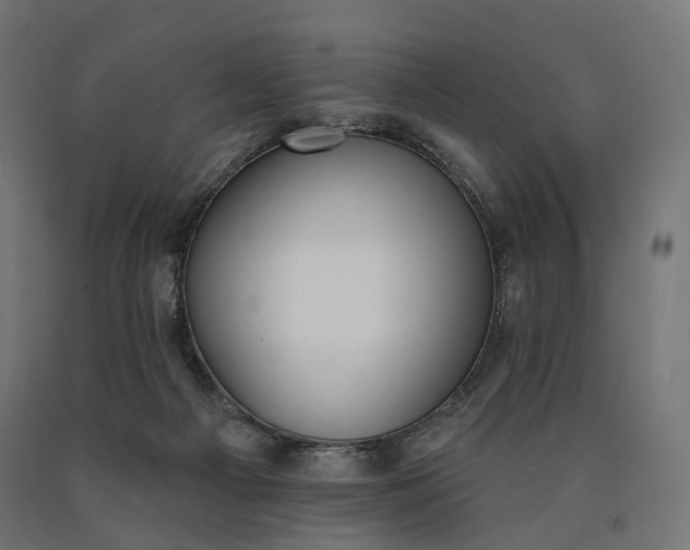 X0000090750121200708031616