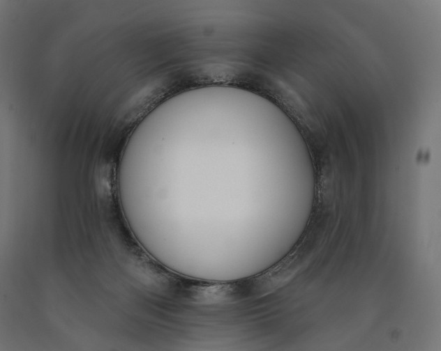 X0000090750122200708031616