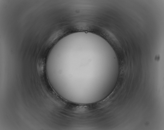 X0000090750124200708031616