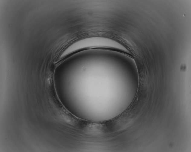 X0000090750125200708031616