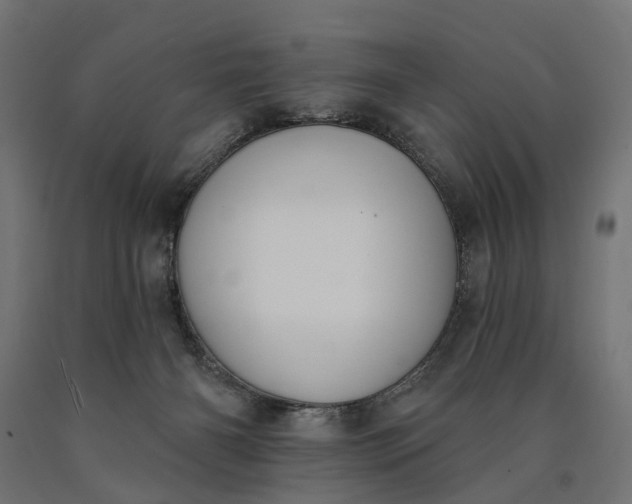 X0000090750126200708031616