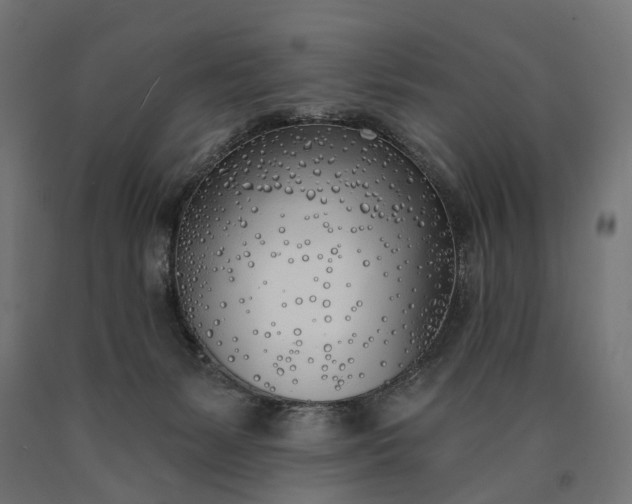 X0000090750127200708031616