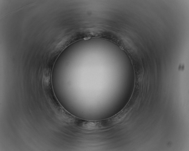 X0000090750129200708031616