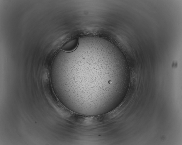 X0000090750130200708031616